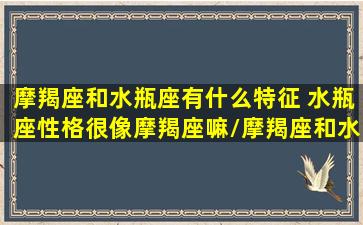 摩羯座和水瓶座有什么特征 水瓶座性格很像摩羯座嘛/摩羯座和水瓶座有什么特征 水瓶座性格很像摩羯座嘛-我的网站